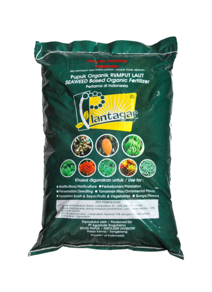 Plant Agar: Organic Seaweed Fertilizer- PT Agarindo Bogatama